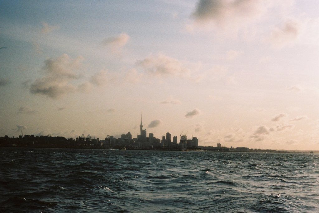 Sailing on the Hauraki Gulf - George & Willy EU